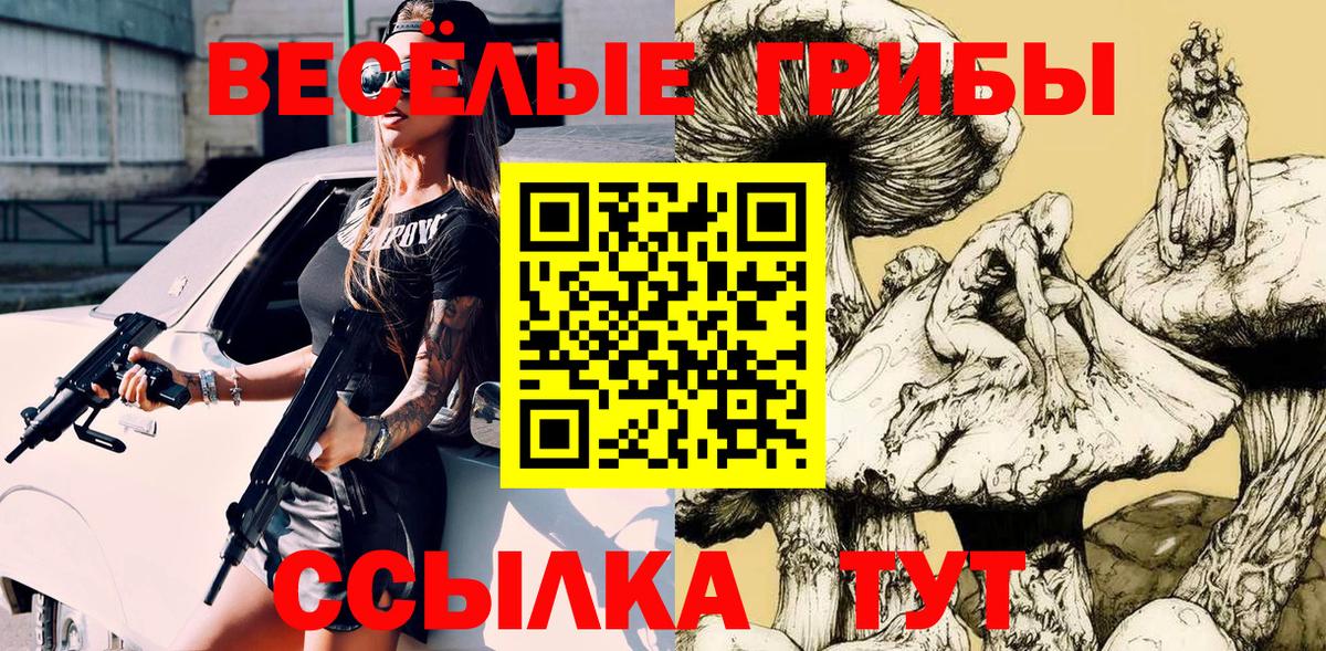 Псилоцибиновые грибы GOLDEN TEACHER Каменск-Шахтинский