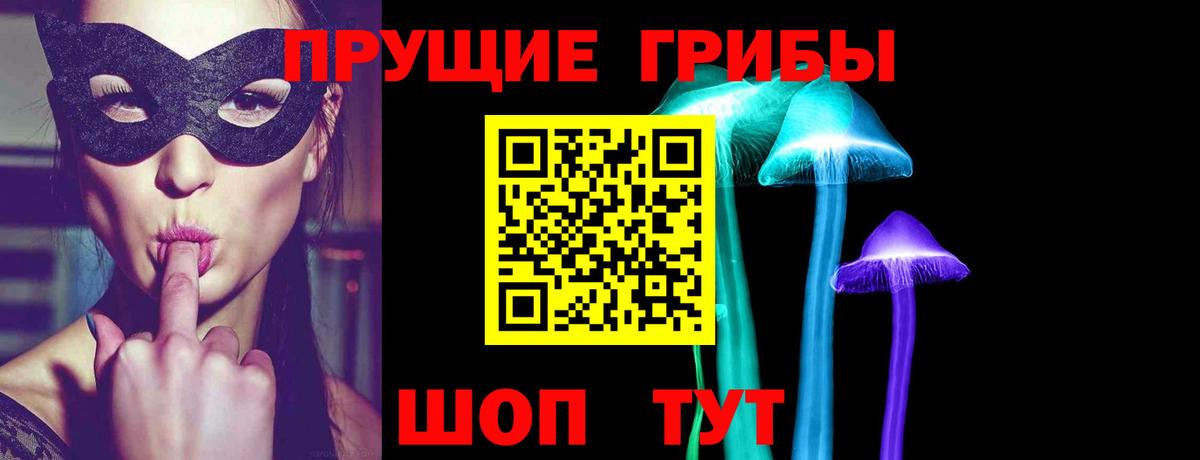 Каменск-Шахтинский  Галлюциногенные грибы Magic Shrooms  Вход с VPN  Галлюциногенные грибы ЛСД 